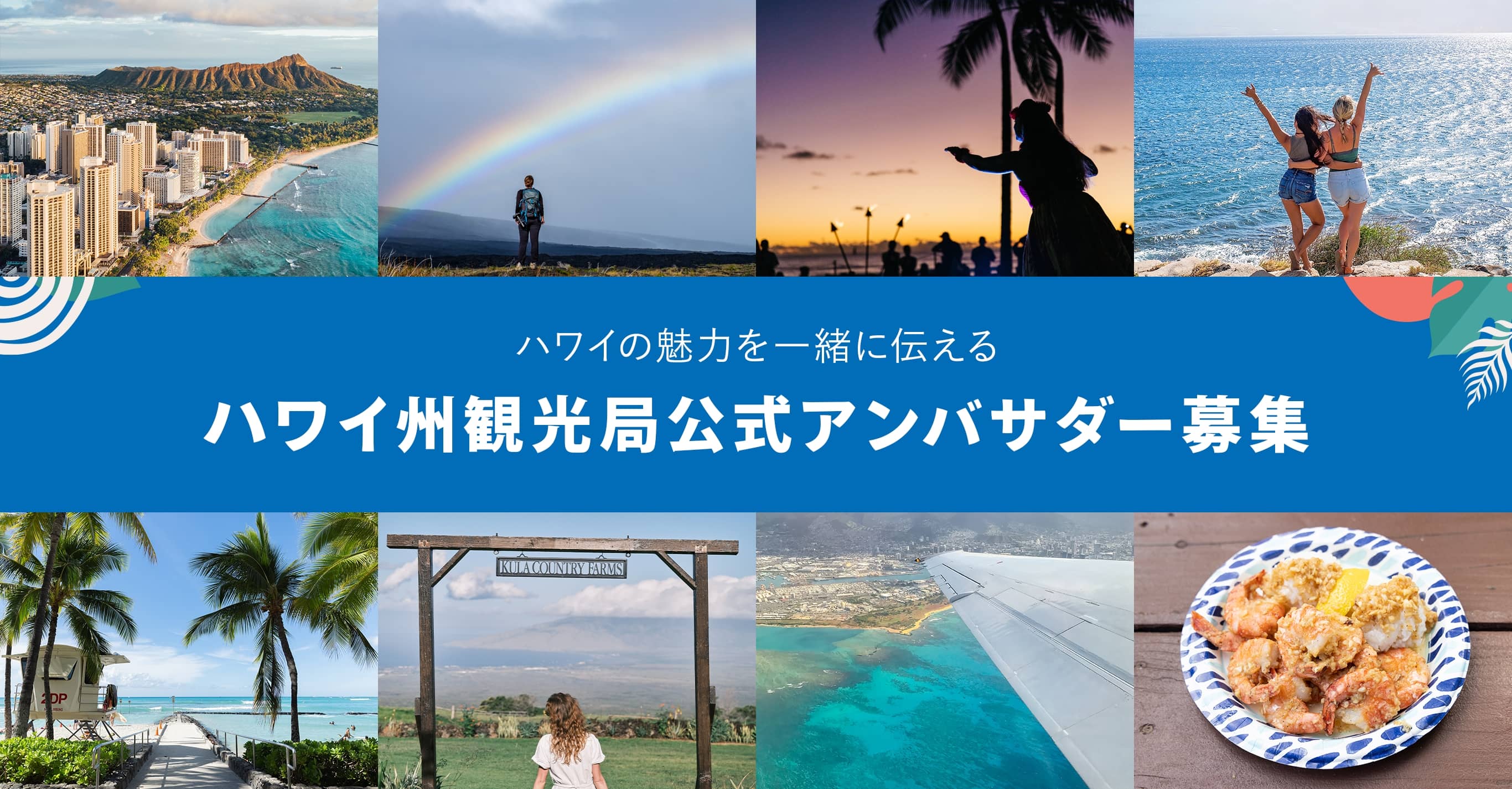 ハワイの魅力を一緒に伝えるハワイ州観光局公式アンバサダー募集
