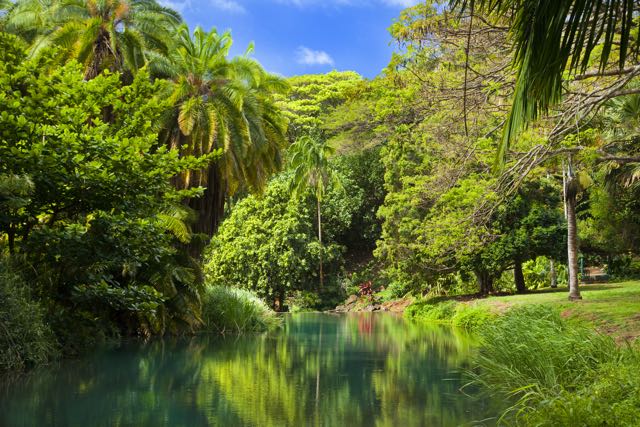 ナショナル熱帯植物園 National Tropical Botanical Garden Malama Hawaii マラマハワイ ハワイ州レスポンシブルツーリズム情報サイト
