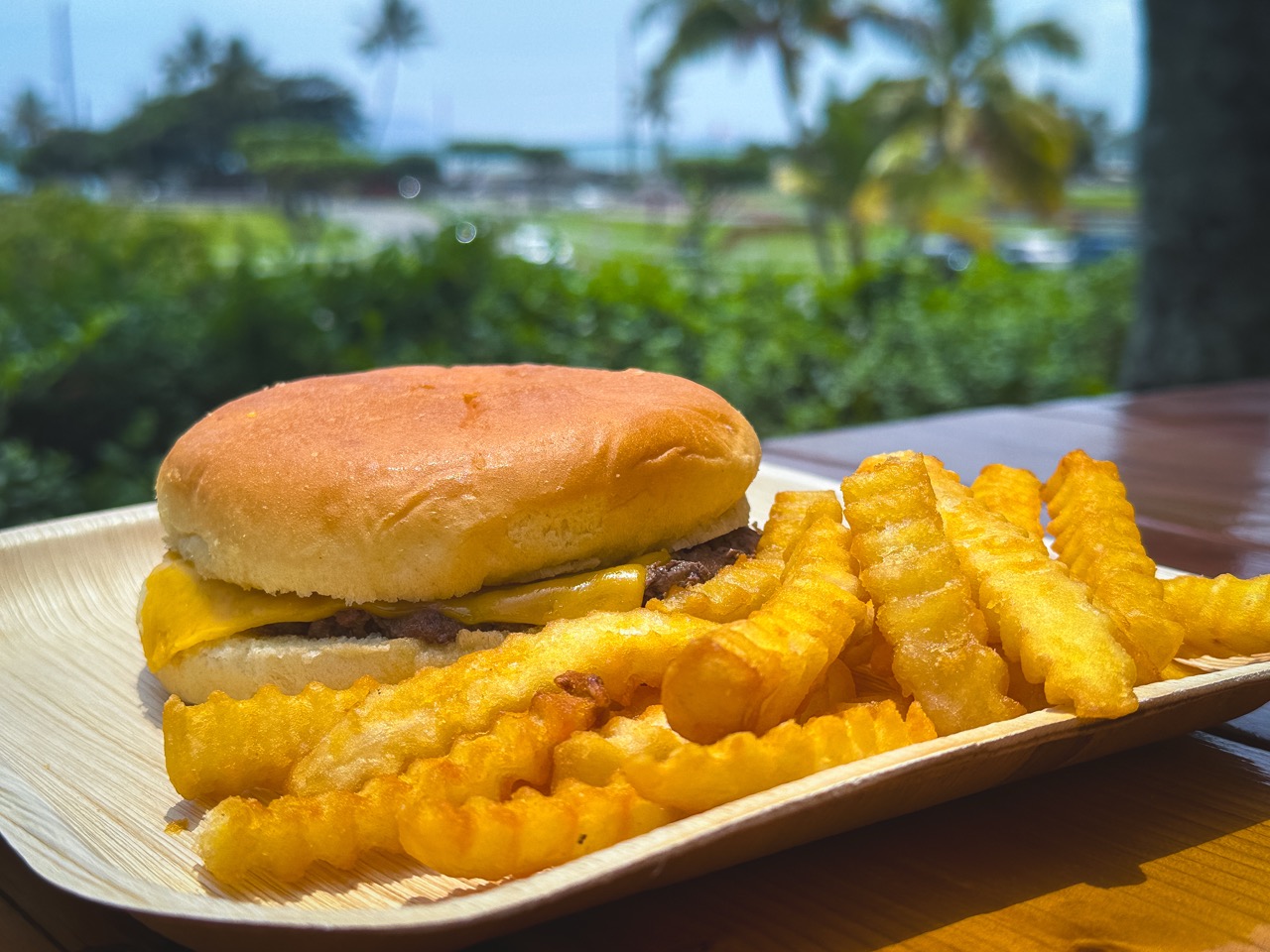 Kids Cheese Burger (Kids Menu)